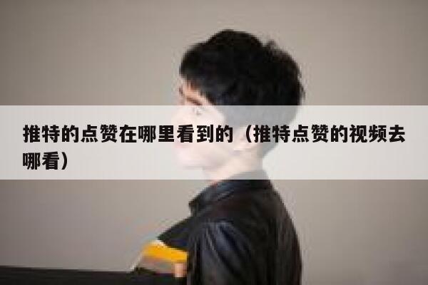 推特的点赞在哪里看到的（推特点赞的视频去哪看） 第1张