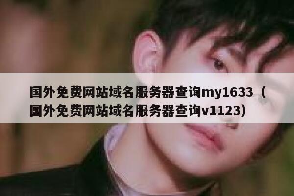 国外免费网站域名服务器查询my1633（国外免费网站域名服务器查询v1123） 第1张