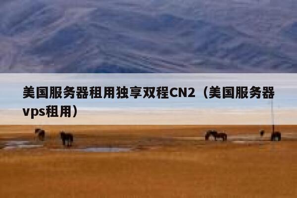 美国服务器租用独享双程CN2（美国服务器vps租用） 第1张