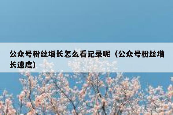 公众号粉丝增长怎么看记录呢（公众号粉丝增长速度） 第1张