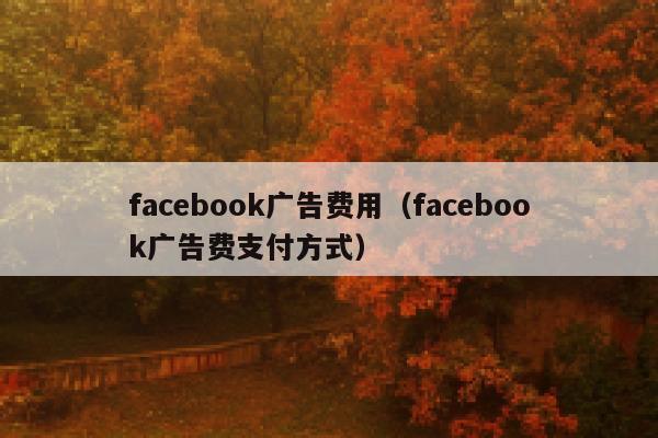 facebook广告费用（facebook广告费支付方式） 第1张