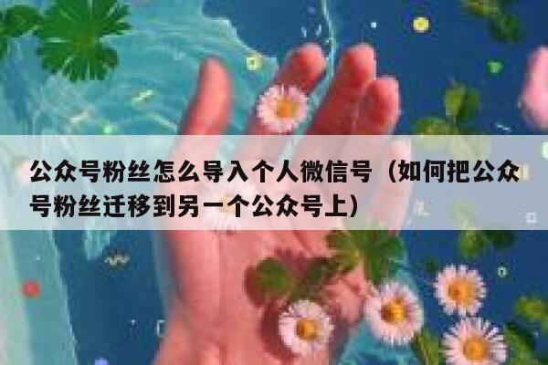 公众号粉丝怎么导入个人微信号（如何把公众号粉丝迁移到另一个公众号上） 第1张