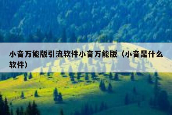 小音万能版引流软件小音万能版（小音是什么软件） 第1张