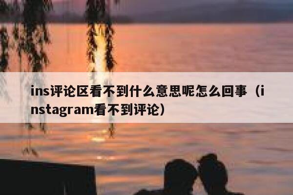 ins评论区看不到什么意思呢怎么回事（instagram看不到评论） 第1张