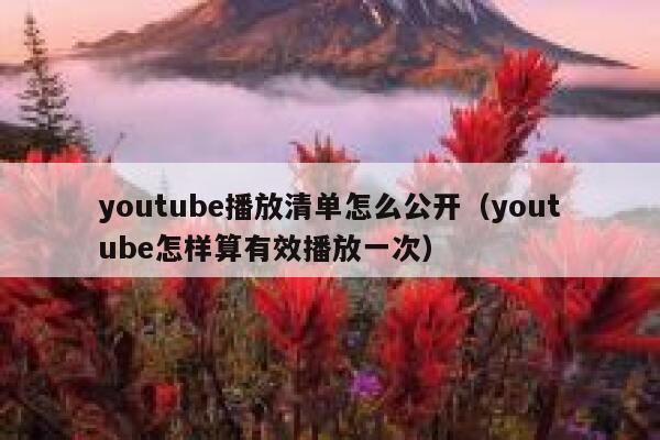 youtube播放清单怎么公开（youtube怎样算有效播放一次） 第1张