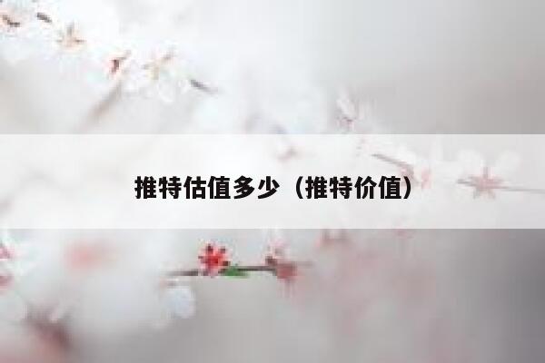 推特估值多少（推特价值） 第1张