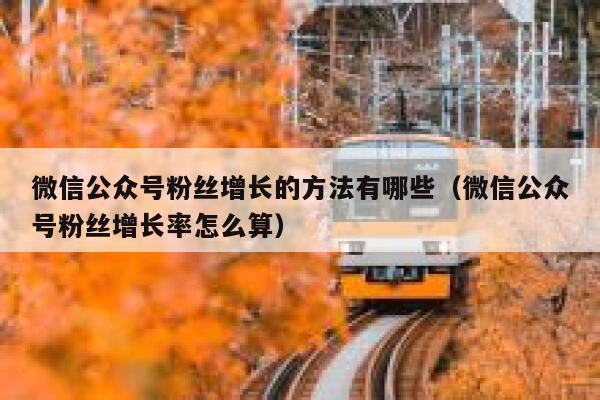 微信公众号粉丝增长的方法有哪些（微信公众号粉丝增长率怎么算） 第1张