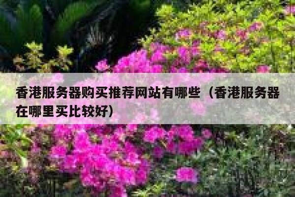 香港服务器购买推荐网站有哪些（香港服务器在哪里买比较好） 第1张