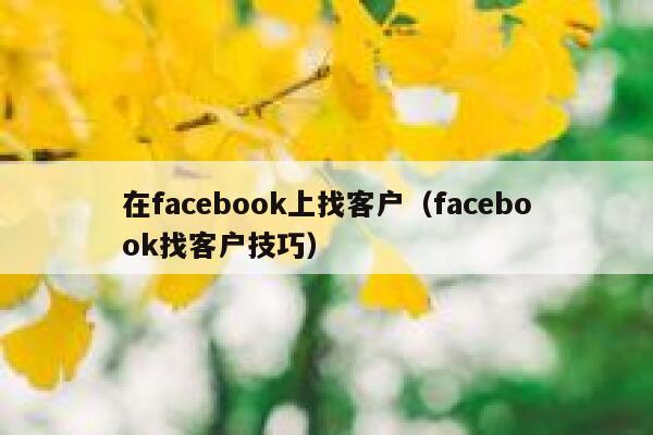 在facebook上找客户（facebook找客户技巧） 第1张