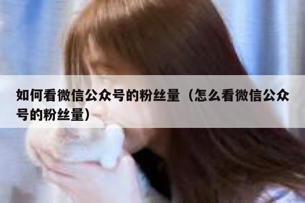 如何看微信公众号的粉丝量（怎么看微信公众号的粉丝量） 第1张