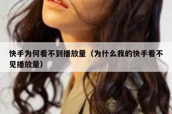 快手为何看不到播放量（为什么我的快手看不见播放量） 第1张