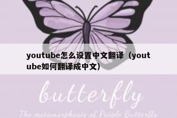youtube怎么设置中文翻译（youtube如何翻译成中文） 第1张
