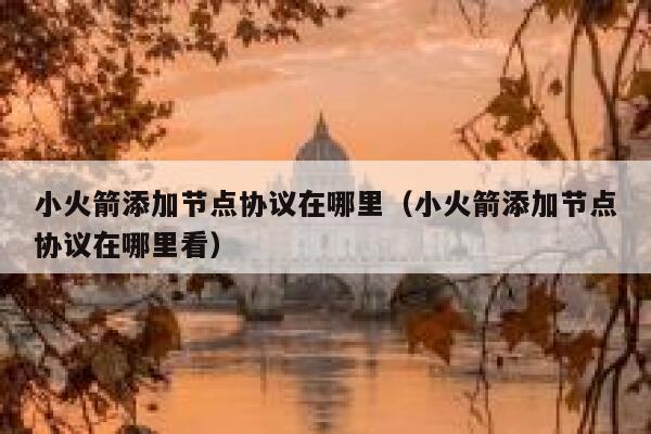 小火箭添加节点协议在哪里（小火箭添加节点协议在哪里看） 第1张