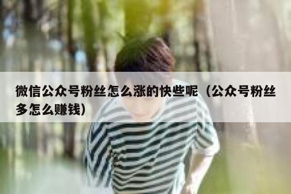 微信公众号粉丝怎么涨的快些呢（公众号粉丝多怎么赚钱） 第1张