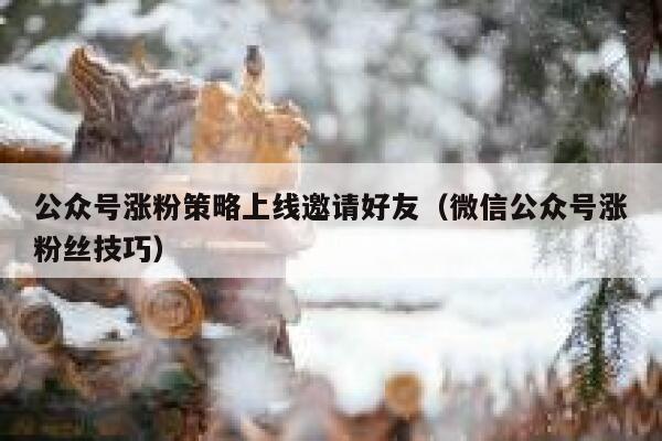 公众号涨粉策略上线邀请好友（微信公众号涨粉丝技巧） 第1张