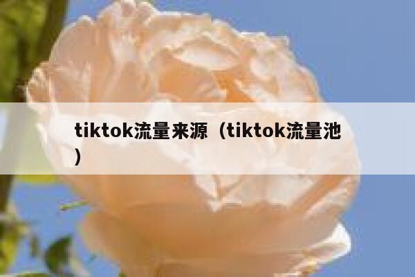 tiktok流量来源（tiktok流量池） 第1张