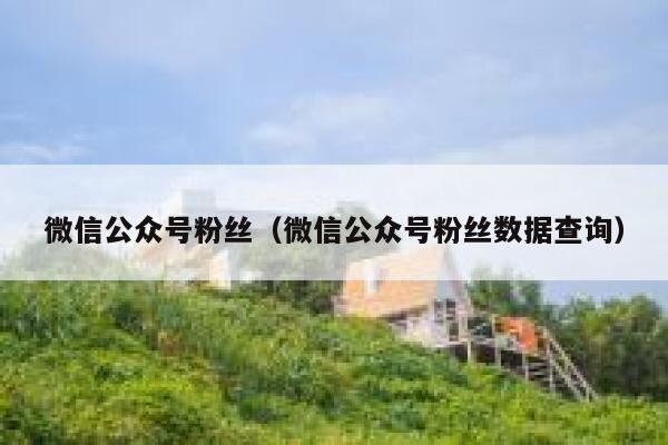 微信公众号粉丝（微信公众号粉丝数据查询） 第1张