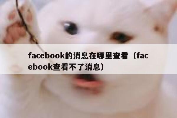 facebook的消息在哪里查看（facebook查看不了消息） 第1张