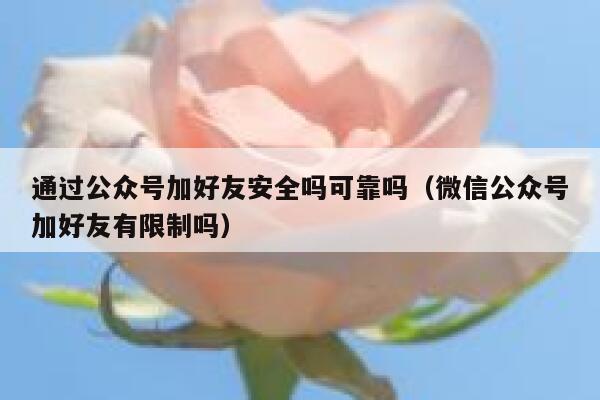 通过公众号加好友安全吗可靠吗（微信公众号加好友有限制吗） 第1张
