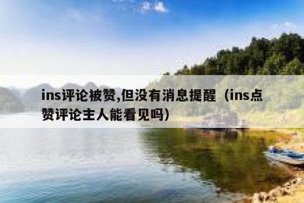 ins评论被赞,但没有消息提醒（ins点赞评论主人能看见吗） 第1张