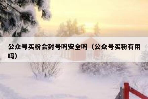 公众号买粉会封号吗安全吗（公众号买粉有用吗） 第1张