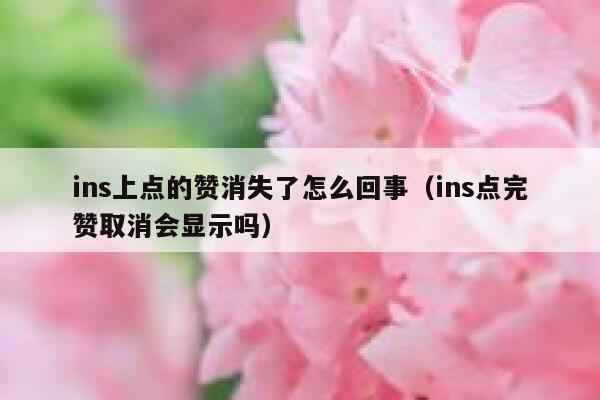 ins上点的赞消失了怎么回事（ins点完赞取消会显示吗） 第1张