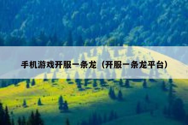 手机游戏开服一条龙（开服一条龙平台） 第1张