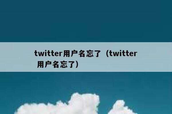 twitter用户名忘了（twitter 用户名忘了） 第1张