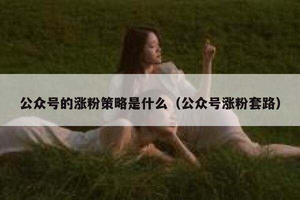 公众号的涨粉策略是什么（公众号涨粉套路） 第1张