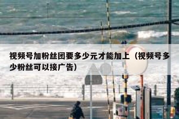 视频号加粉丝团要多少元才能加上（视频号多少粉丝可以接广告） 第1张
