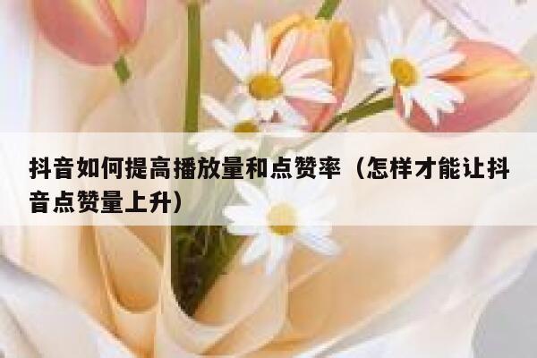 抖音如何提高播放量和点赞率（怎样才能让抖音点赞量上升） 第1张
