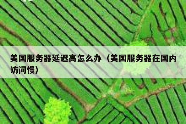 美国服务器延迟高怎么办（美国服务器在国内访问慢） 第1张