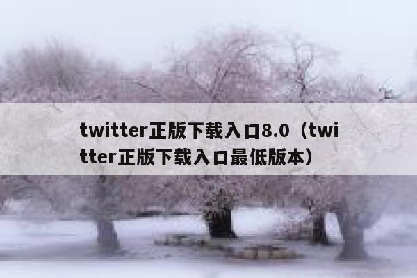 twitter正版下载入口8.0（twitter正版下载入口最低版本） 第1张