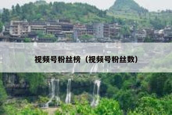 视频号粉丝榜（视频号粉丝数） 第1张