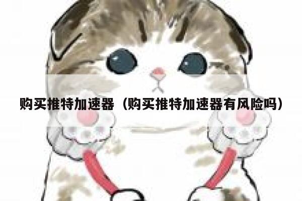 购买推特加速器（购买推特加速器有风险吗） 第1张