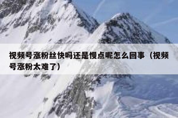 视频号涨粉丝快吗还是慢点呢怎么回事（视频号涨粉太难了） 第1张