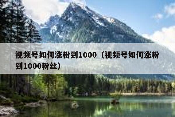 视频号如何涨粉到1000（视频号如何涨粉到1000粉丝） 第1张