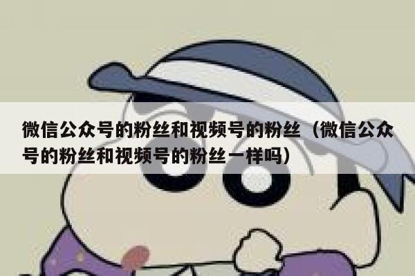 微信公众号的粉丝和视频号的粉丝（微信公众号的粉丝和视频号的粉丝一样吗） 第1张