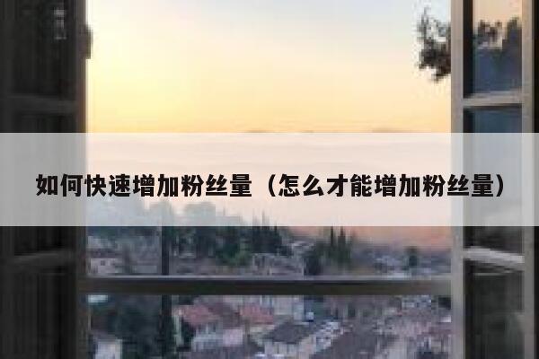 如何快速增加粉丝量（怎么才能增加粉丝量） 第1张