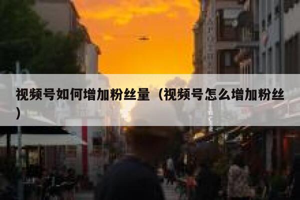 视频号如何增加粉丝量（视频号怎么增加粉丝） 第1张