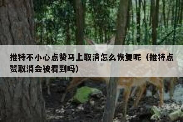 推特不小心点赞马上取消怎么恢复呢（推特点赞取消会被看到吗） 第1张