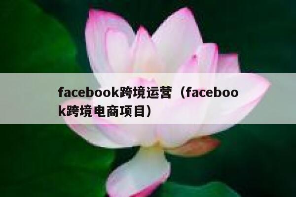 facebook跨境运营（facebook跨境电商项目） 第1张
