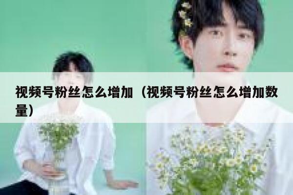 视频号粉丝怎么增加（视频号粉丝怎么增加数量） 第1张