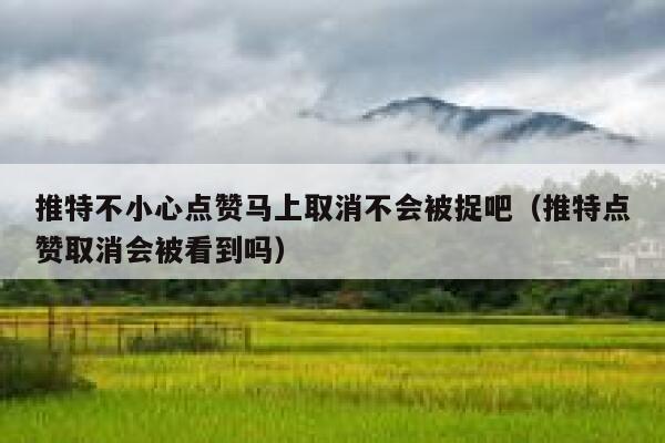 推特不小心点赞马上取消不会被捉吧（推特点赞取消会被看到吗） 第1张