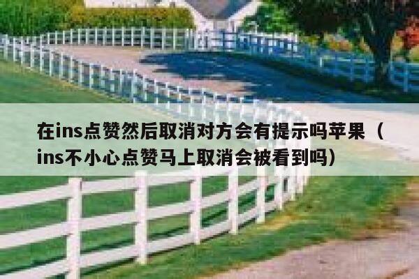在ins点赞然后取消对方会有提示吗苹果（ins不小心点赞马上取消会被看到吗） 第1张