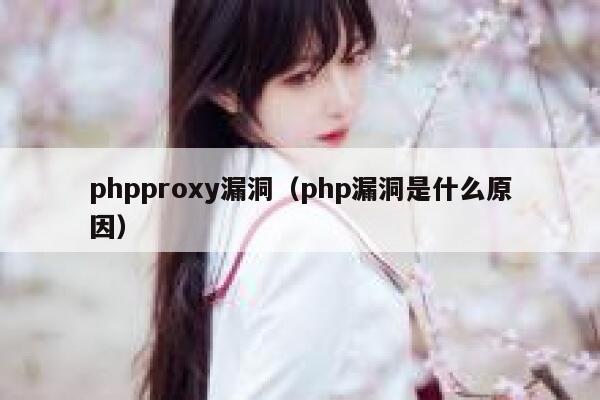 phpproxy漏洞（php漏洞是什么原因） 第1张