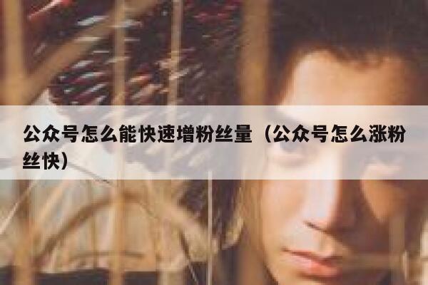 公众号怎么能快速增粉丝量（公众号怎么涨粉丝快） 第1张