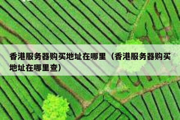 香港服务器购买地址在哪里（香港服务器购买地址在哪里查） 第1张