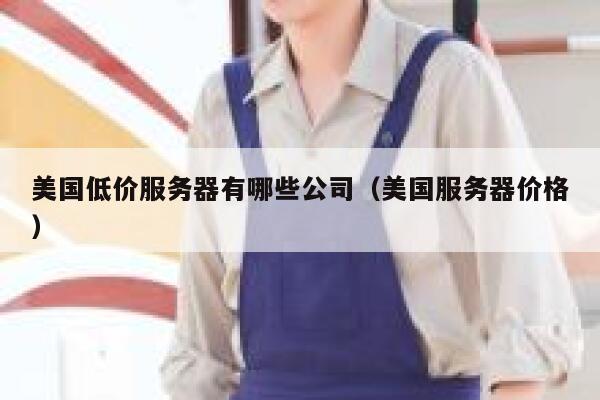 美国低价服务器有哪些公司（美国服务器价格） 第1张