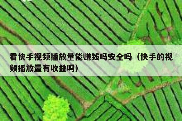 看快手视频播放量能赚钱吗安全吗（快手的视频播放量有收益吗） 第1张